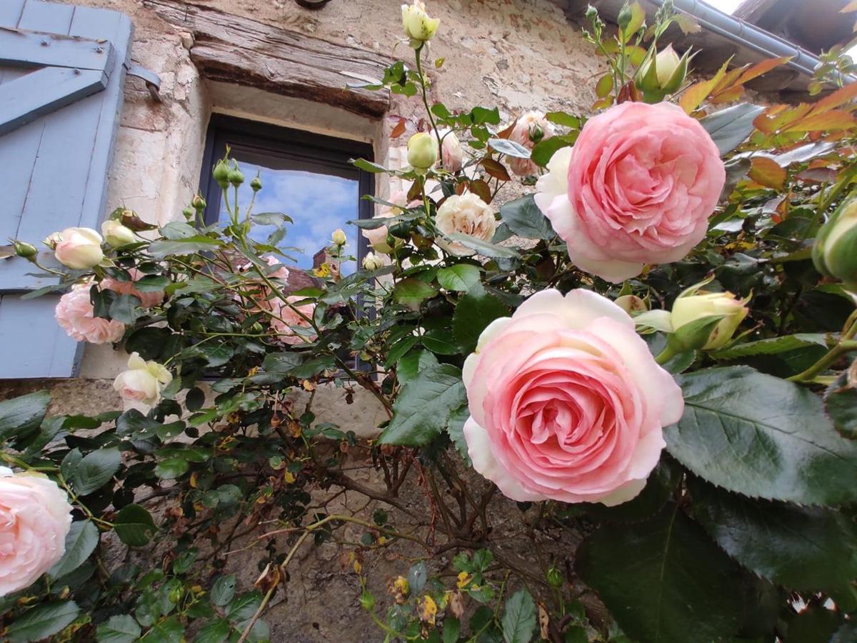 Willa Au Jardin De La Marquetterie Cigogne Zewnętrze zdjęcie