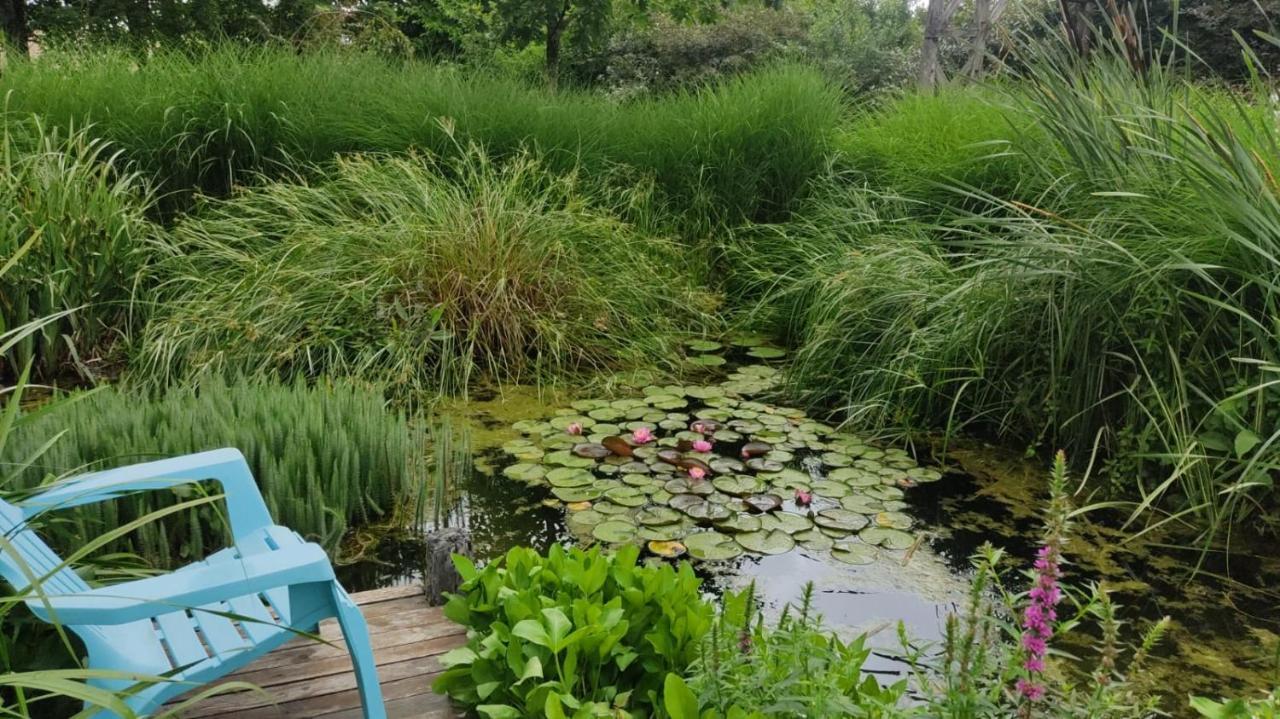 Willa Au Jardin De La Marquetterie Cigogne Zewnętrze zdjęcie
